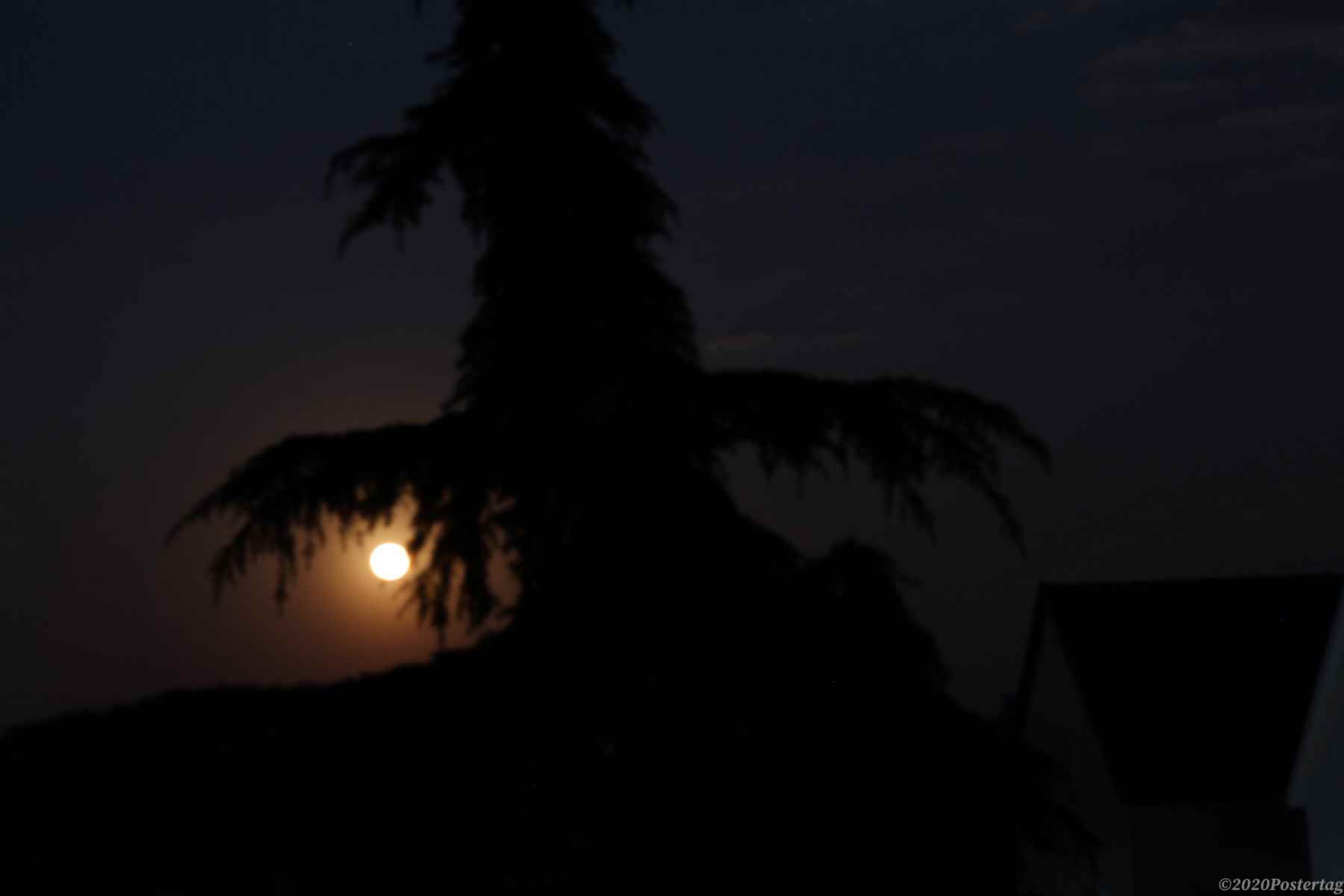 nuit