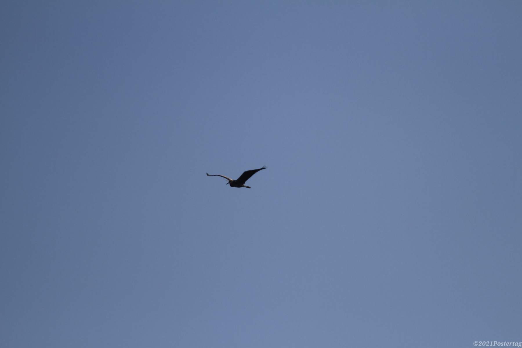 IMG_52652-scaled