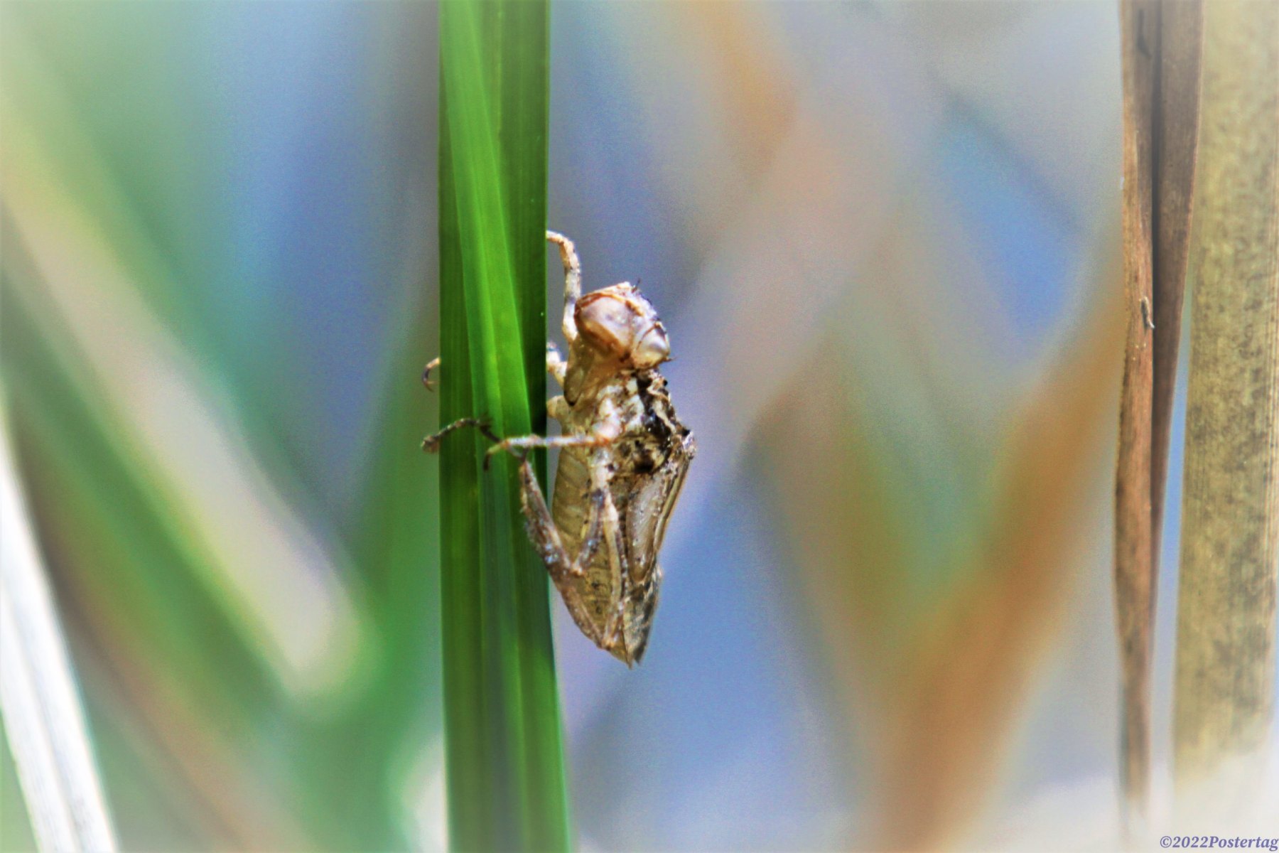 IMG_54360-scaled