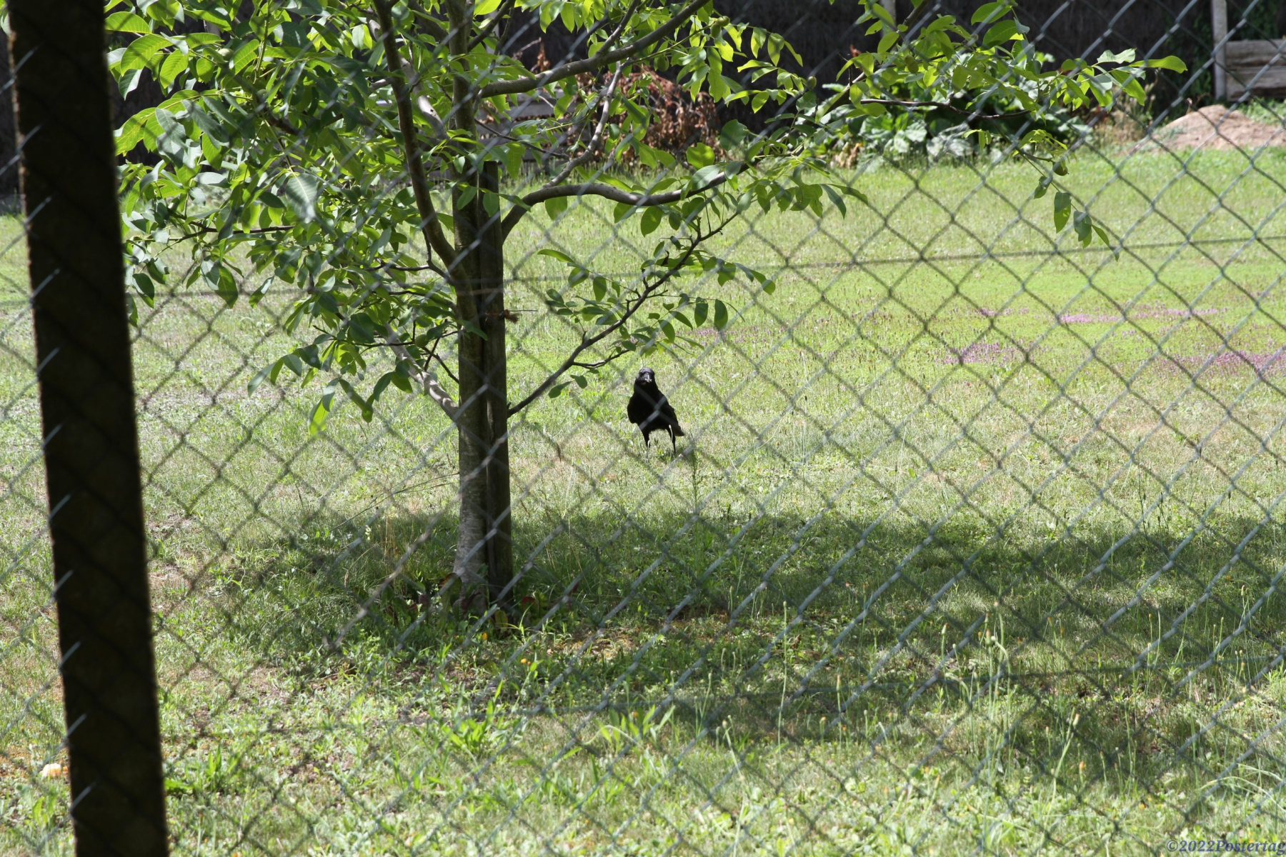 IMG_55219-scaled